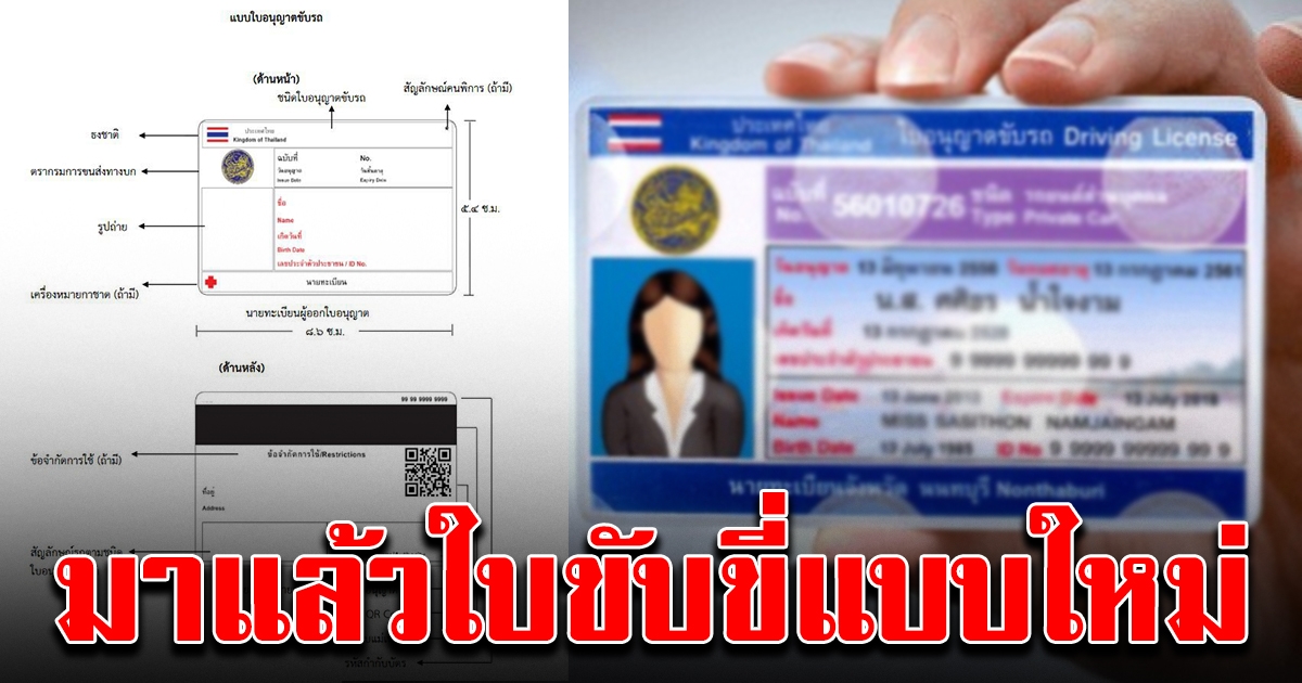 ขนส่ง ประกาศใช้ใบขับขี่แบบใหม่ 2564