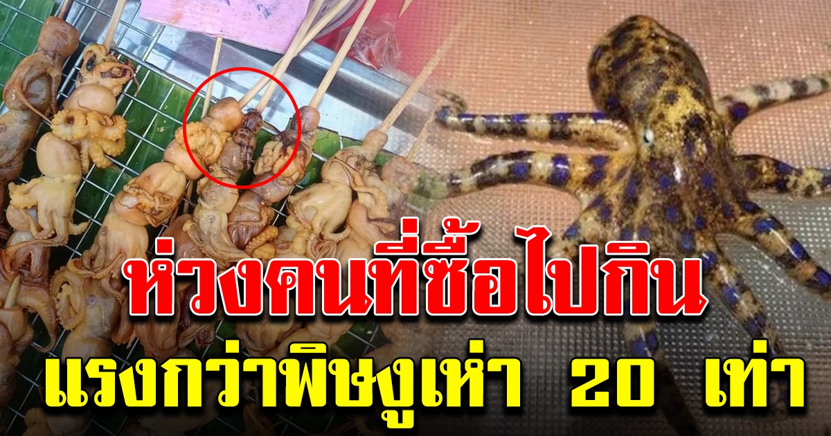 หนุ่มเดินตลาด เจอร้านหมึกย่าง