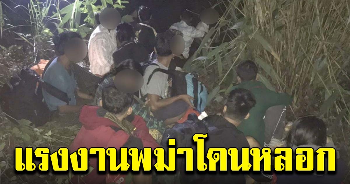 แรงงานพม่าหอบลูกหางานทำ