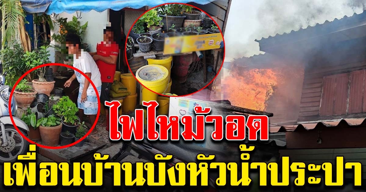 เพื่อนบ้านปลูกต้นไม้บังน้ำประปา