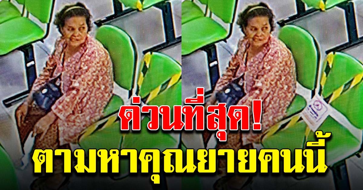 ตามหาคุณยาย