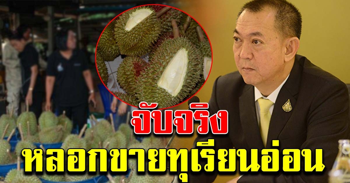 เตือนเกษตรกร ทุเรียน