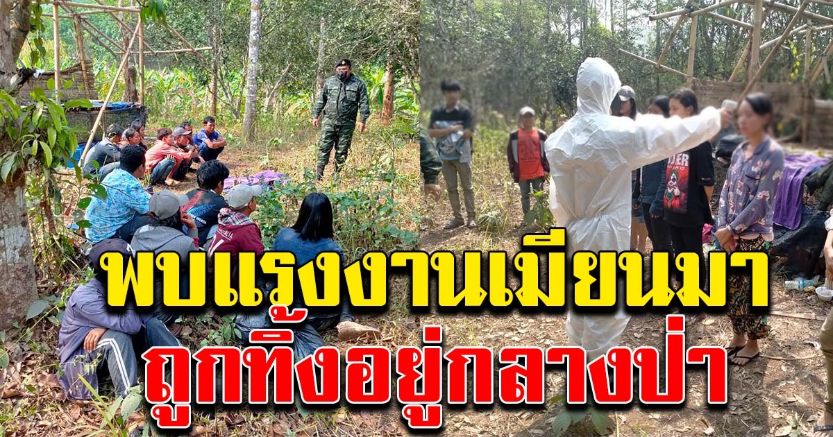 พบแรงงานเมียนมา อยู่กลางป่า