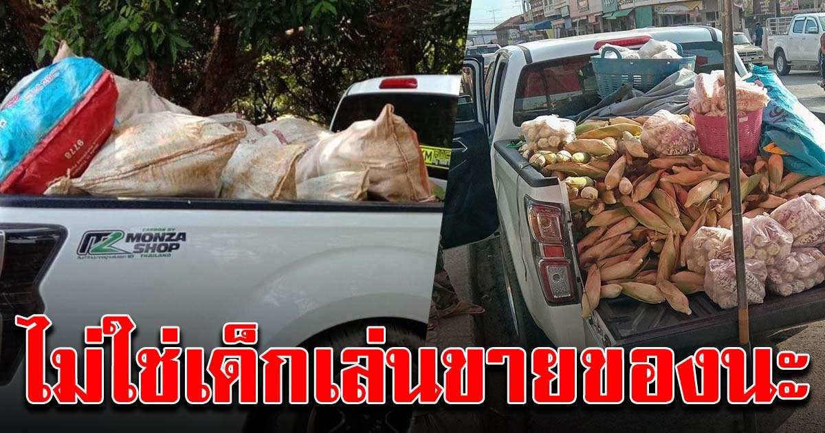 หนุ่มไปส่งข้าวโพด