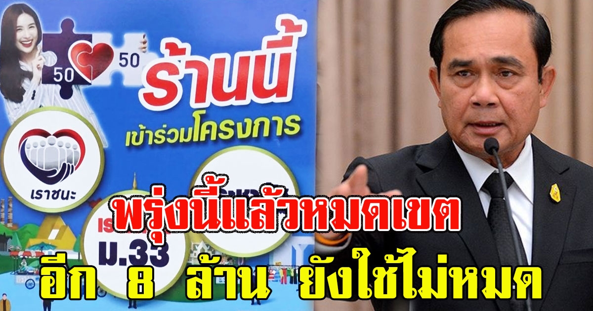 พรุ่งนี้แล้ว คนละครึ่ง หมดเขต 31 มี.ค.อีก 8 ล้าน ยังใช้ไม่หมด